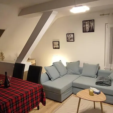 Au Sapin D'argent Apartment *