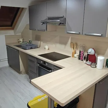 Apartment Au Sapin D'argent Sélestat